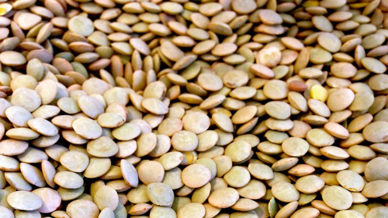 green-whole-lentils